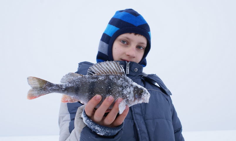 Рыбалка на Рыбинском водохранилище 29.01.2022г.