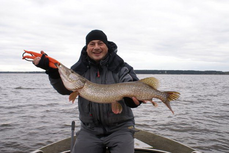 рыбалка на Рыбинском водохранилище