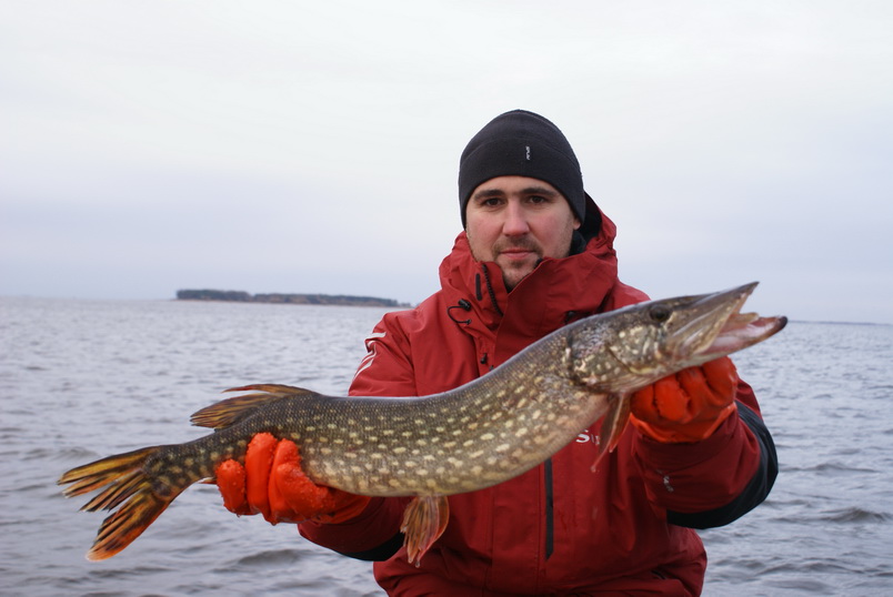Рыбалка на Рыбинском водохранилище 