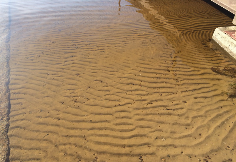 узоры на песке